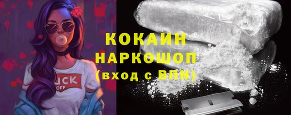 ешки Алексин